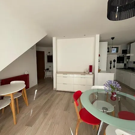 L'uliveto * Santo Stefano di Magra