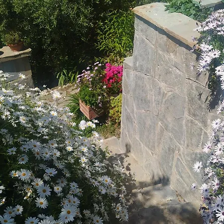 L'uliveto Appartement