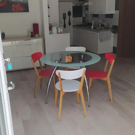 L'uliveto * Santo Stefano di Magra