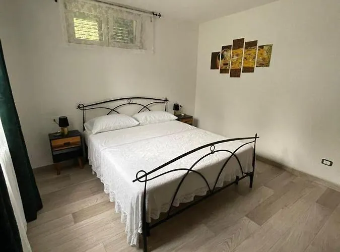 L'uliveto Santo Stefano di Magra