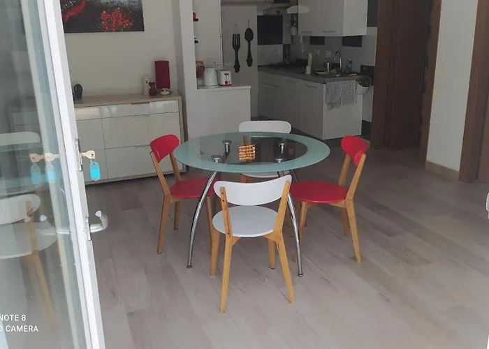 L'uliveto * Santo Stefano di Magra